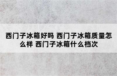 西门子冰箱好吗 西门子冰箱质量怎么样 西门子冰箱什么档次